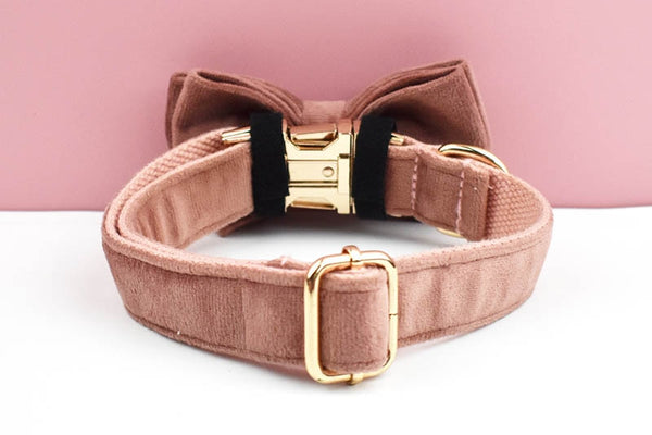 PERSONALIZZABILE - SET PETTORINA PER CANI IN VELLUTO NOCCIOLA