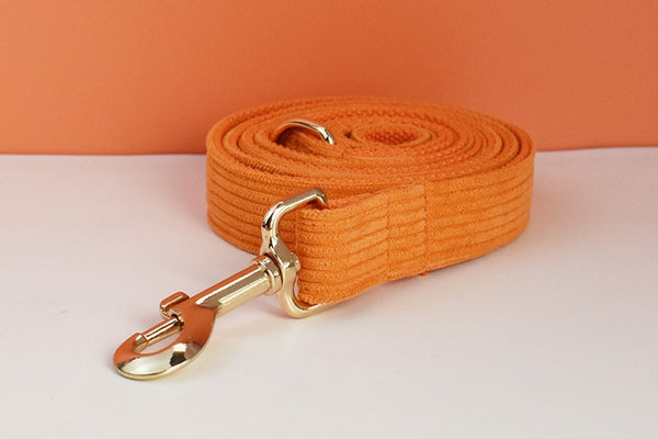 PERSONALIZZABILE - SET PETTORINA PER CANI IN VELLUTO ARANCIONE A COSTE