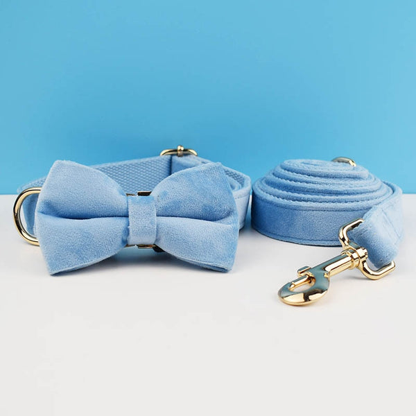 PERSONALIZZABILE - SET PETTORINA PER CANI IN VELLUTO CELESTE