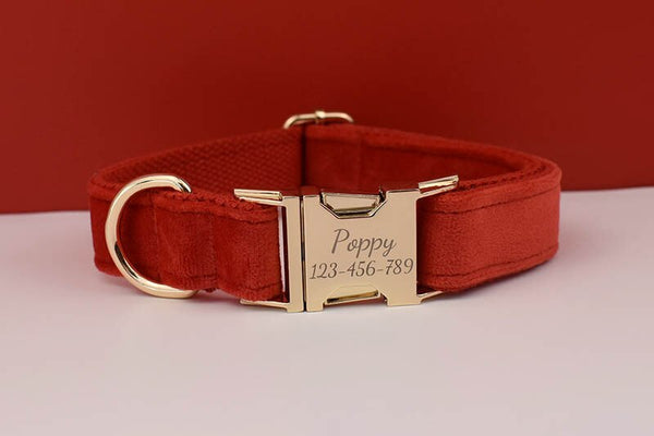 PERSONALIZZABILE - SET PETTORINA PER CANI IN VELLUTO ROSSO