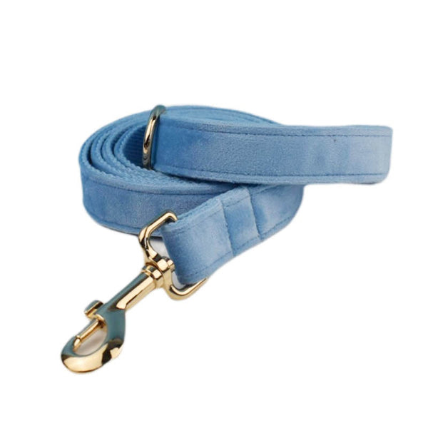 PERSONALIZZABILE - SET PETTORINA PER CANI IN VELLUTO CELESTE