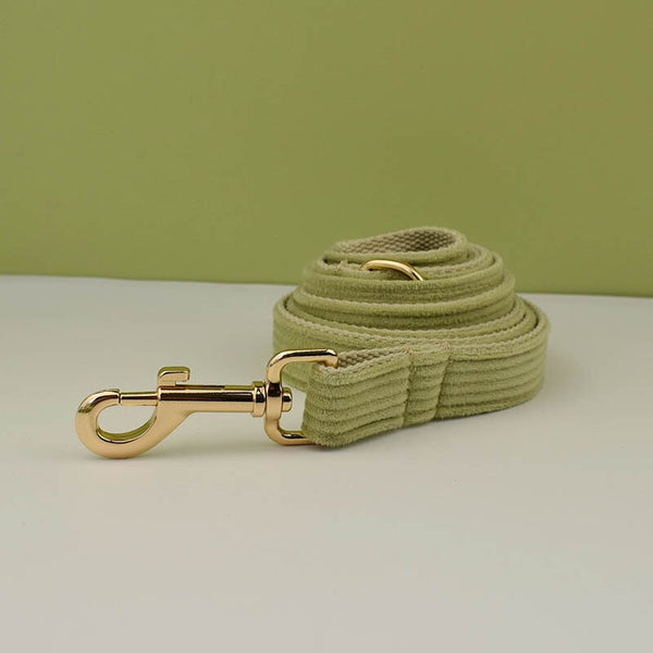 PERSONALIZZABILE - SET COLLARE PER CANI IN VELLUTO PISTACCHIO A COSTE