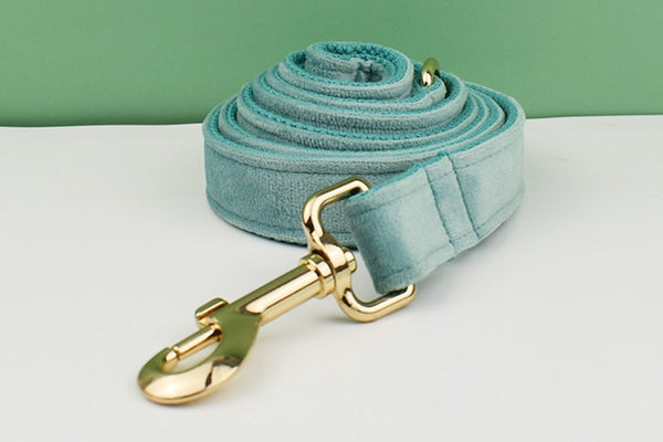 PERSONALIZZABILE - SET PETTORINA PER CANI IN VELLUTO MENTA