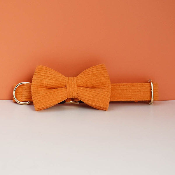 PERSONALIZZABILE - SET PETTORINA PER CANI IN VELLUTO ARANCIONE A COSTE