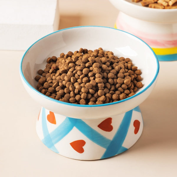 FANTASY CERAMIC RAISED DOG BOWL