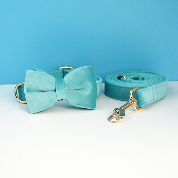 PERSONALIZZABILE - SET PETTORINA PER CANI IN VELLUTO AZZURRO