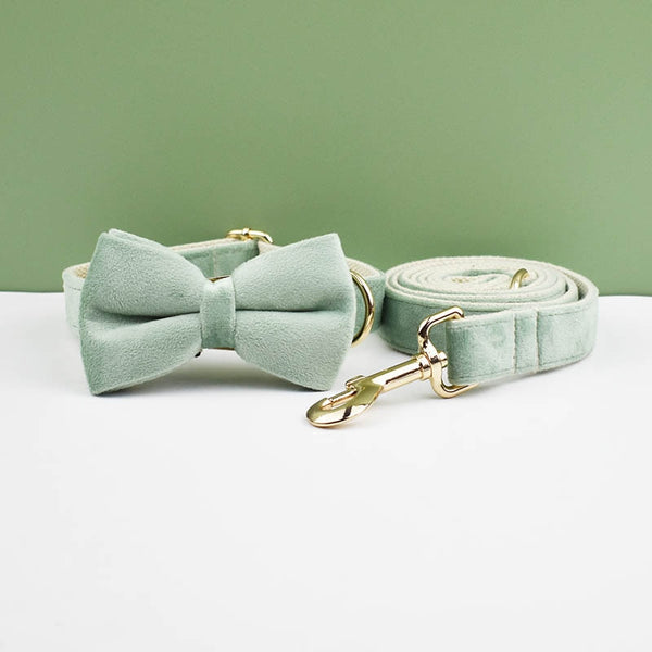 PERSONALIZZABILE - SET PETTORINA PER CANI IN VELLUTO SALVIA