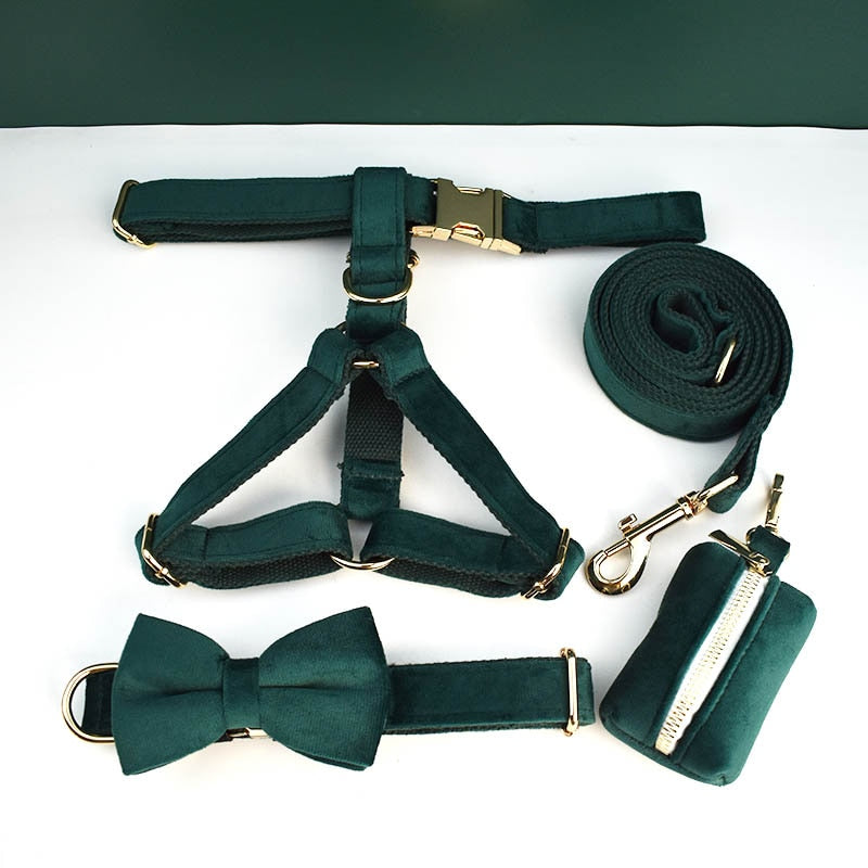 PERSONALIZZABILE - SET PETTORINA PER CANI IN VELLUTO VERDE SCURO