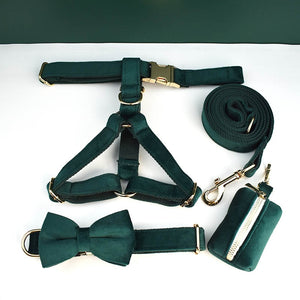 PERSONALIZZABILE - SET PETTORINA PER CANI IN VELLUTO VERDE SCURO