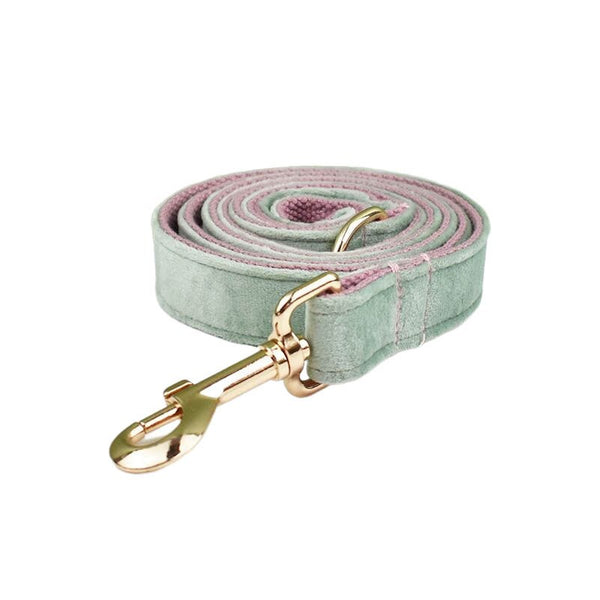 PERSONALIZZABILE - SET PETTORINA PER CANI IN VELLUTO MENTA FONDO ROSA