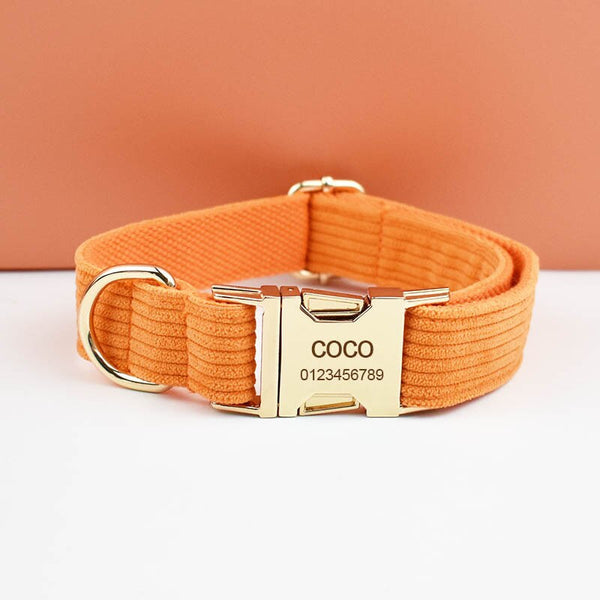PERSONALIZZABILE - SET PETTORINA PER CANI IN VELLUTO ARANCIONE A COSTE