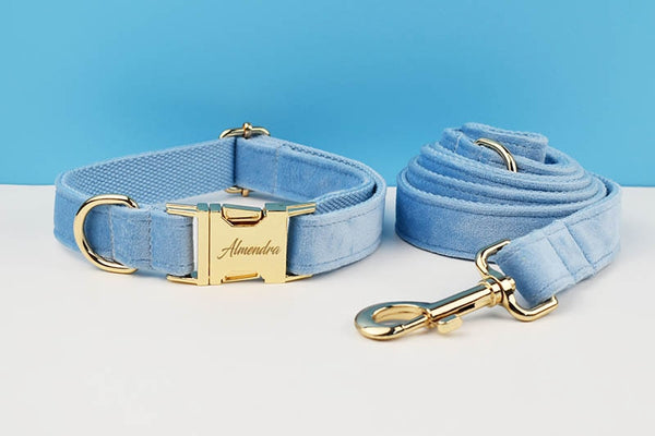 PERSONALIZZABILE - SET PETTORINA PER CANI IN VELLUTO CELESTE