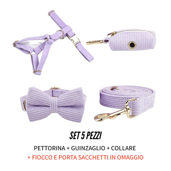 PERSONALIZZABILE - SET PETTORINA PER CANI IN VELLUTO LILLA A COSTE