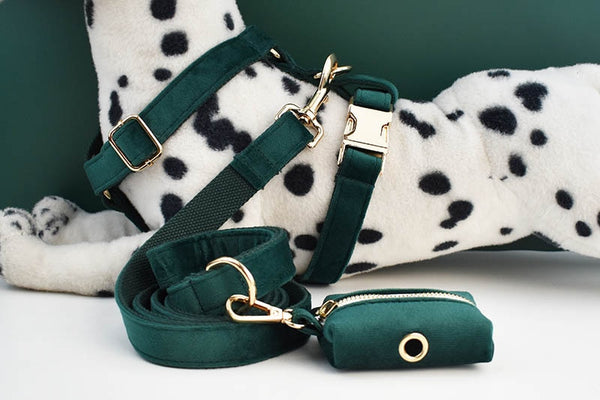 PERSONALIZZABILE - SET PETTORINA PER CANI IN VELLUTO VERDE SCURO