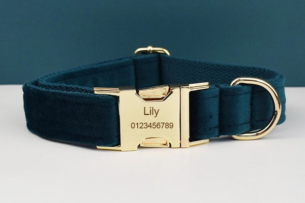 PERSONALIZZABILE - SET PETTORINA PER CANI IN VELLUTO VERDE PETROLIO