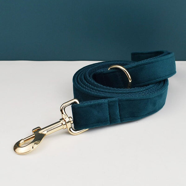 PERSONALIZZABILE - SET PETTORINA PER CANI IN VELLUTO VERDE PETROLIO