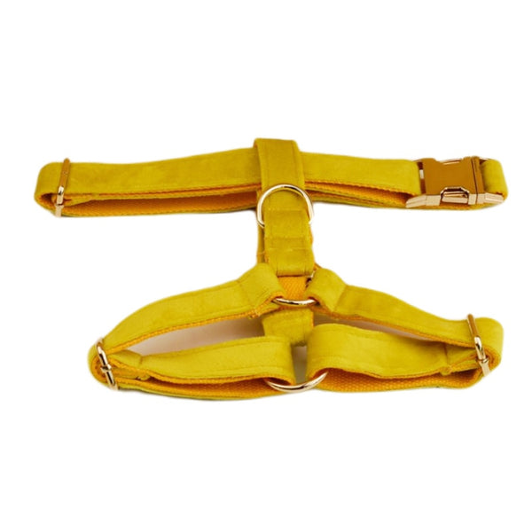PERSONALIZZABILE - SET PETTORINA PER CANI IN VELLUTO GIALLO