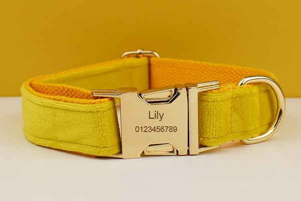 PERSONALIZZABILE - SET PETTORINA PER CANI IN VELLUTO GIALLO