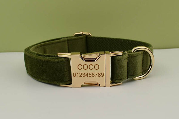 PERSONALIZZABILE - SET COLLARE PER CANI IN VELLUTO VERDE MILITARE