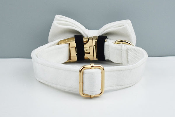 PERSONALIZZABILE - SET PETTORINA PER CANI IN VELLUTO BIANCO