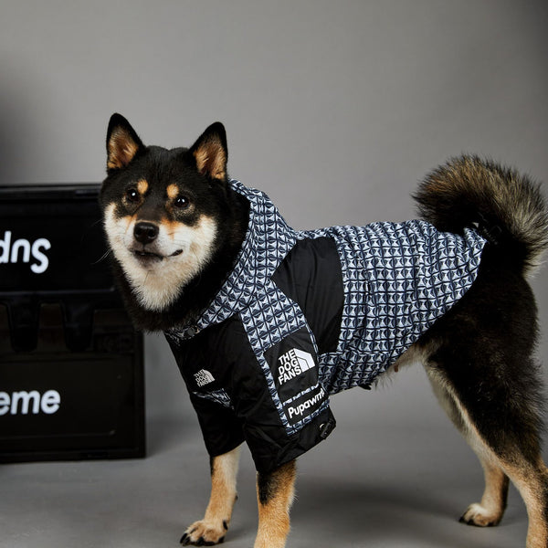 Impermeabile per cani anti pioggia con cappuccio pattern