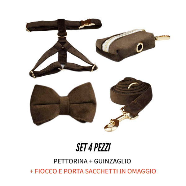 PERSONALIZZABILE - SET PETTORINA PER CANI IN VELLUTO CIOCCOLATO