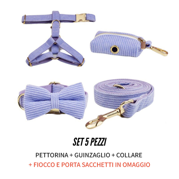 PERSONALIZZABILE - SET PETTORINA PER CANI IN VELLUTO LAVANDA A COSTE