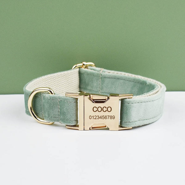 PERSONALIZZABILE - SET PETTORINA PER CANI IN VELLUTO MENTA FONDO ROSA