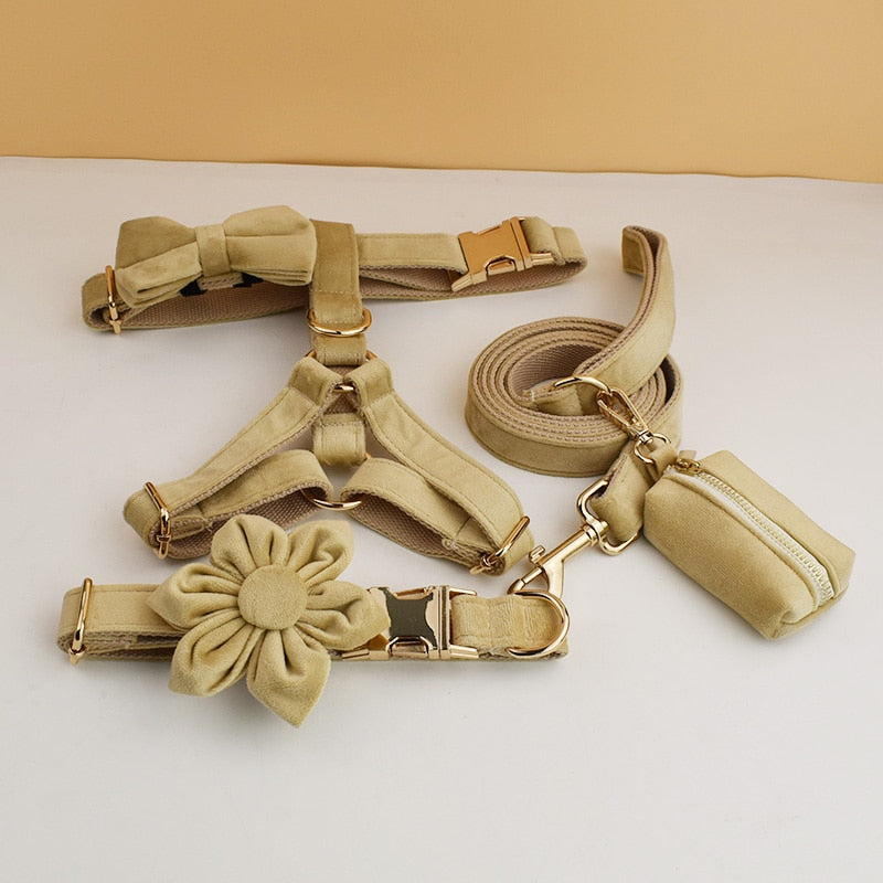 PERSONALIZZABILE - SET PETTORINA PER CANI IN VELLUTO BEIGE