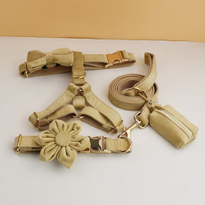 PERSONALIZZABILE - SET PETTORINA PER CANI IN VELLUTO BEIGE