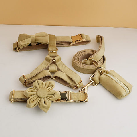 PERSONALIZZABILE - SET PETTORINA PER CANI IN VELLUTO BEIGE