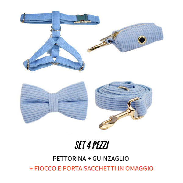PERSONALIZZABILE - SET PETTORINA PER CANI IN VELLUTO CELESTE A COSTE