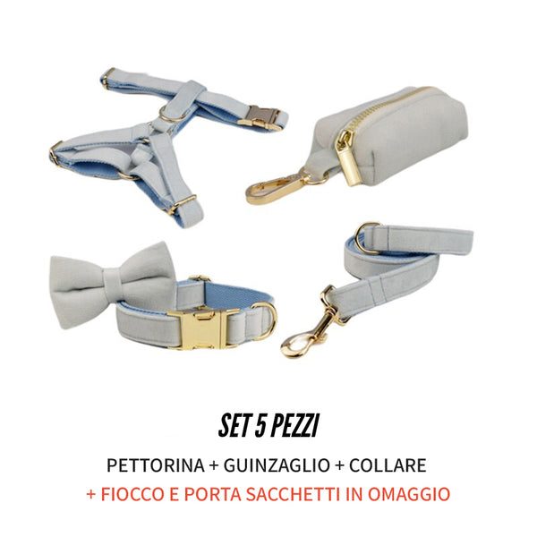 PERSONALIZZABILE - SET PETTORINA PER CANI IN VELLUTO BLU GHIACCIO