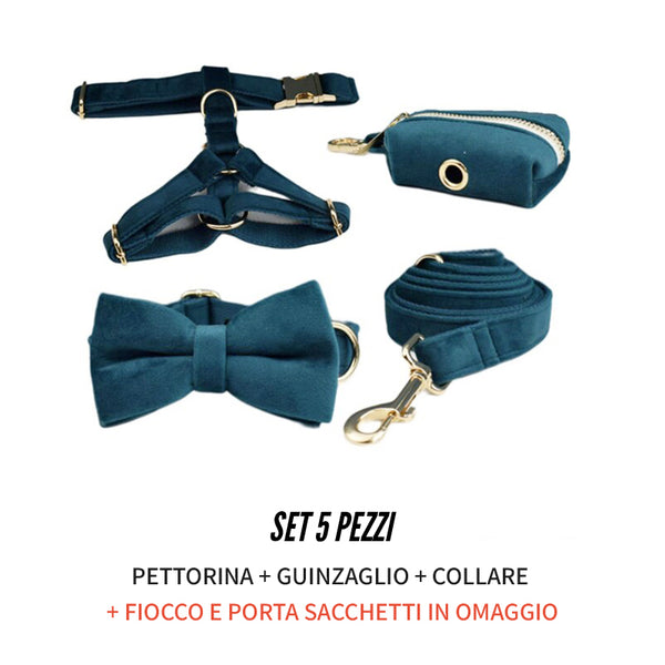 PERSONALIZZABILE - SET PETTORINA PER CANI IN VELLUTO VERDE PETROLIO