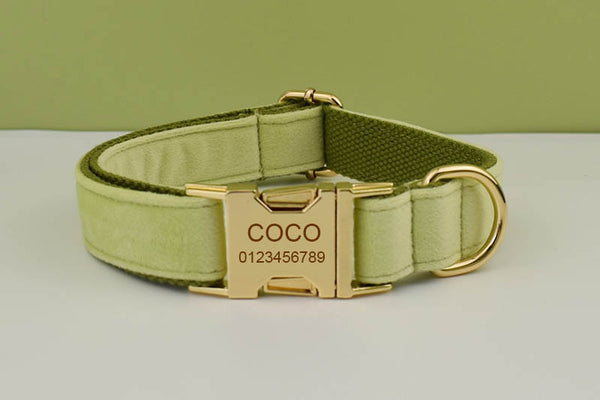 PERSONALIZZABILE - SET COLLARE PER CANI IN VELLUTO PISTACCHIO