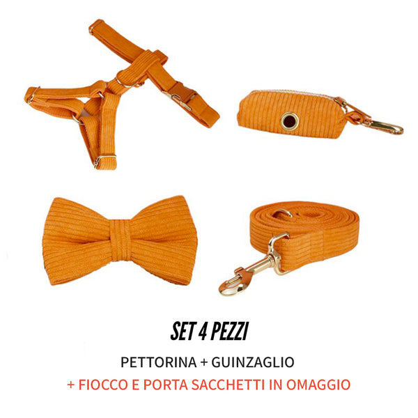 PERSONALIZZABILE - SET PETTORINA PER CANI IN VELLUTO ARANCIONE A COSTE