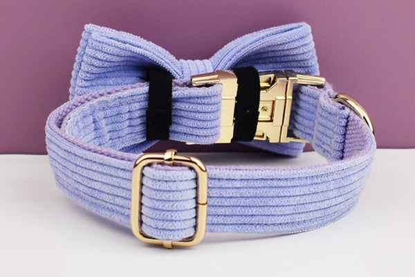 PERSONALIZZABILE - SET PETTORINA PER CANI IN VELLUTO LAVANDA A COSTE