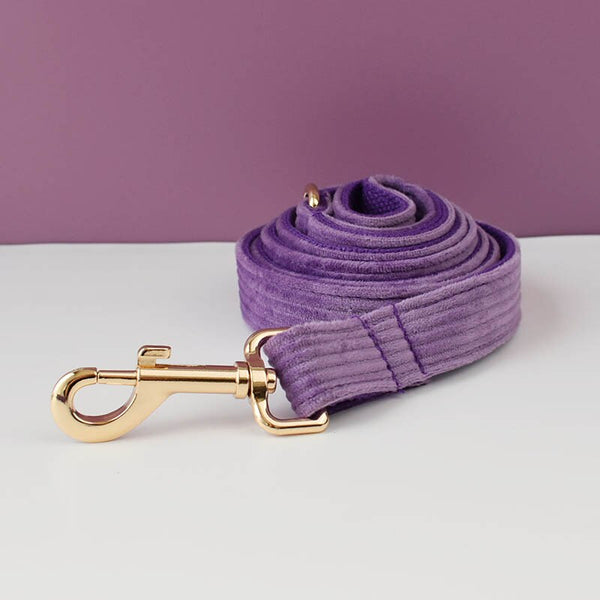 PERSONALIZZABILE - SET COLLARE PER CANI IN VELLUTO VIOLA A COSTE