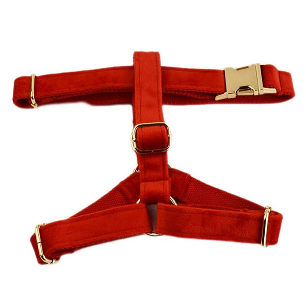 PERSONALIZZABILE - SET PETTORINA PER CANI IN VELLUTO ROSSO