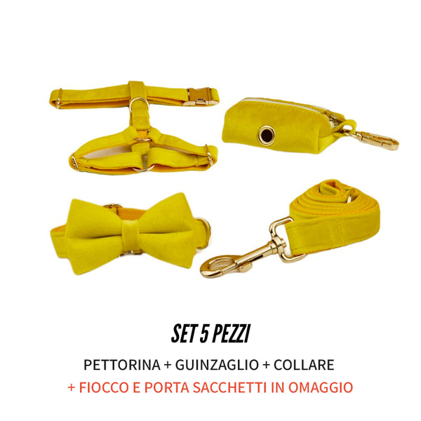 PERSONALIZZABILE - SET PETTORINA PER CANI IN VELLUTO GIALLO
