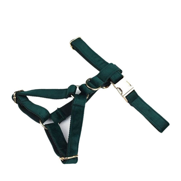PERSONALIZZABILE - SET PETTORINA PER CANI IN VELLUTO VERDE SCURO