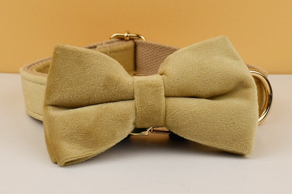 PERSONALIZZABILE - SET PETTORINA PER CANI IN VELLUTO BEIGE