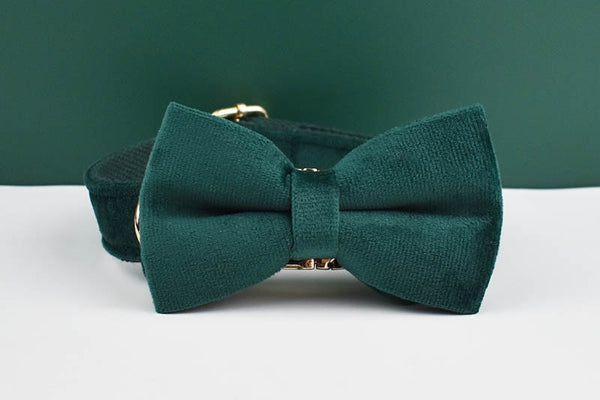 PERSONALIZZABILE - SET PETTORINA PER CANI IN VELLUTO VERDE SCURO
