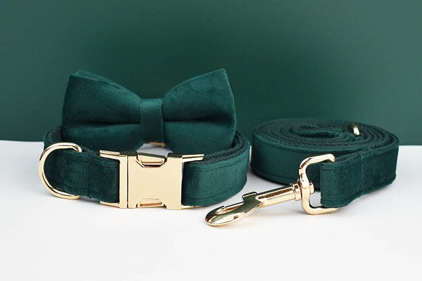 PERSONALIZZABILE - SET PETTORINA PER CANI IN VELLUTO VERDE SCURO