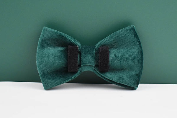 PERSONALIZZABILE - SET PETTORINA PER CANI IN VELLUTO VERDE SCURO
