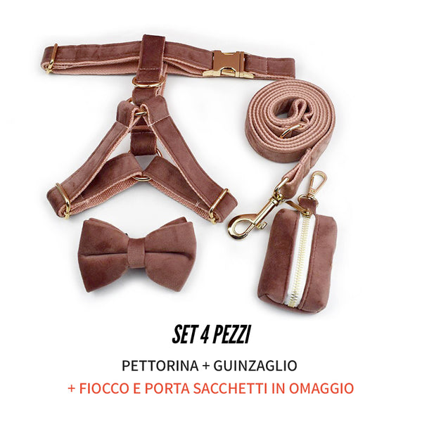 PERSONALIZZABILE - SET PETTORINA PER CANI IN VELLUTO NOCCIOLA