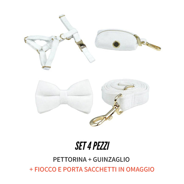 PERSONALIZZABILE - SET PETTORINA PER CANI IN VELLUTO BIANCO