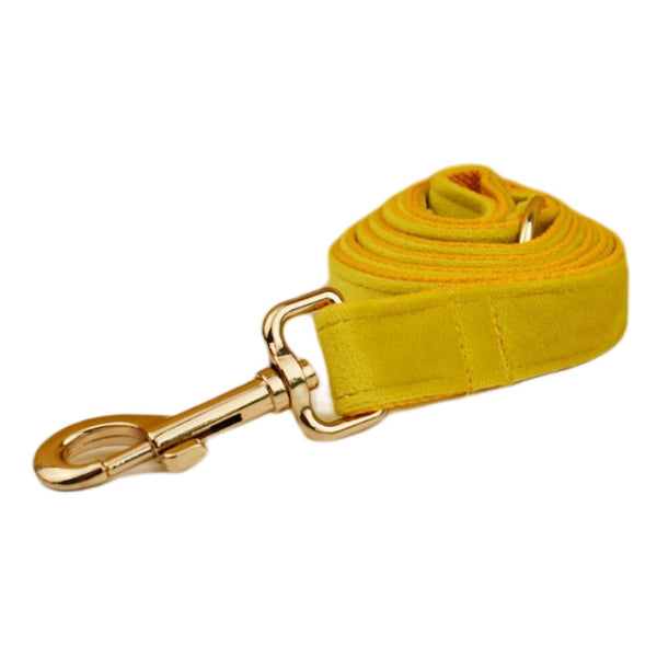 PERSONALIZZABILE - SET PETTORINA PER CANI IN VELLUTO GIALLO