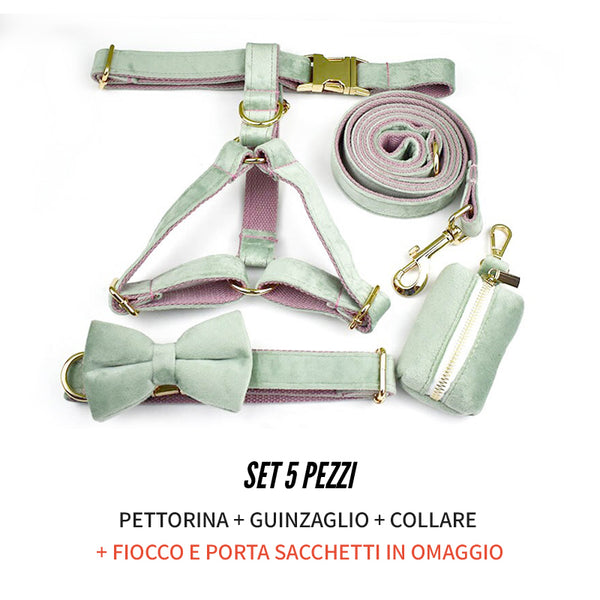 PERSONALIZZABILE - SET PETTORINA PER CANI IN VELLUTO MENTA FONDO ROSA