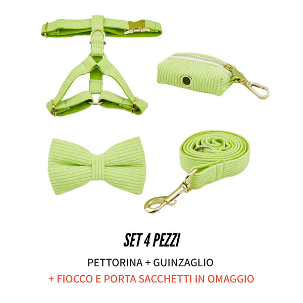 PERSONALIZZABILE - SET PETTORINA PER CANI IN VELLUTO VERDE MELA A COSTE
